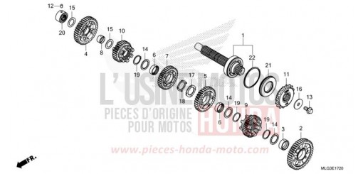 GETRIEBE (GEGENWELLE) (DCT) CRF1100DN de 2022